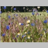 266_Rosental_Uckermark.JPG
